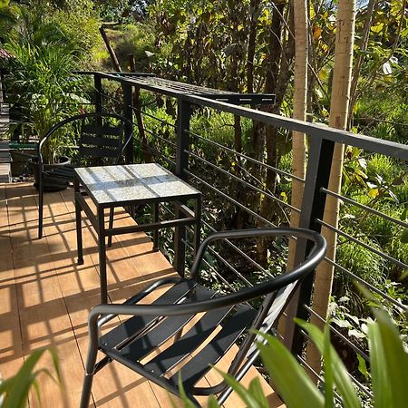 Bed and Breakfast La Jungla Puerto Carrillo Zewnętrze zdjęcie